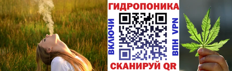 Купить где  Карасук  Бошки марихуана планчик 